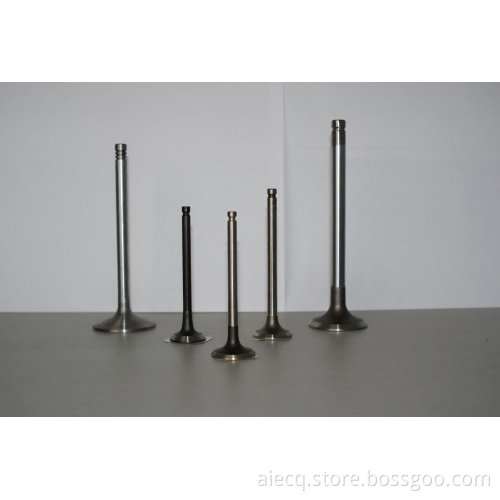 Auto engine valves Non-magnetic and magnetic